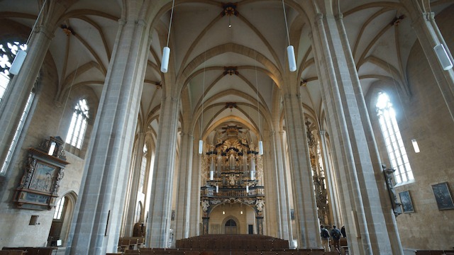 Sankt Severi, Severikirche Erfurt, Kirchenschiff, Orgel
